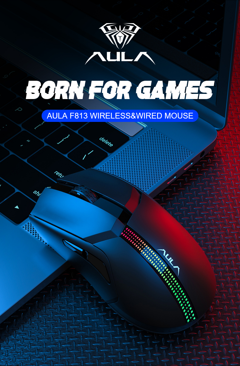 AULA F813  Wired+Wireless Gaming Mouse(图1)