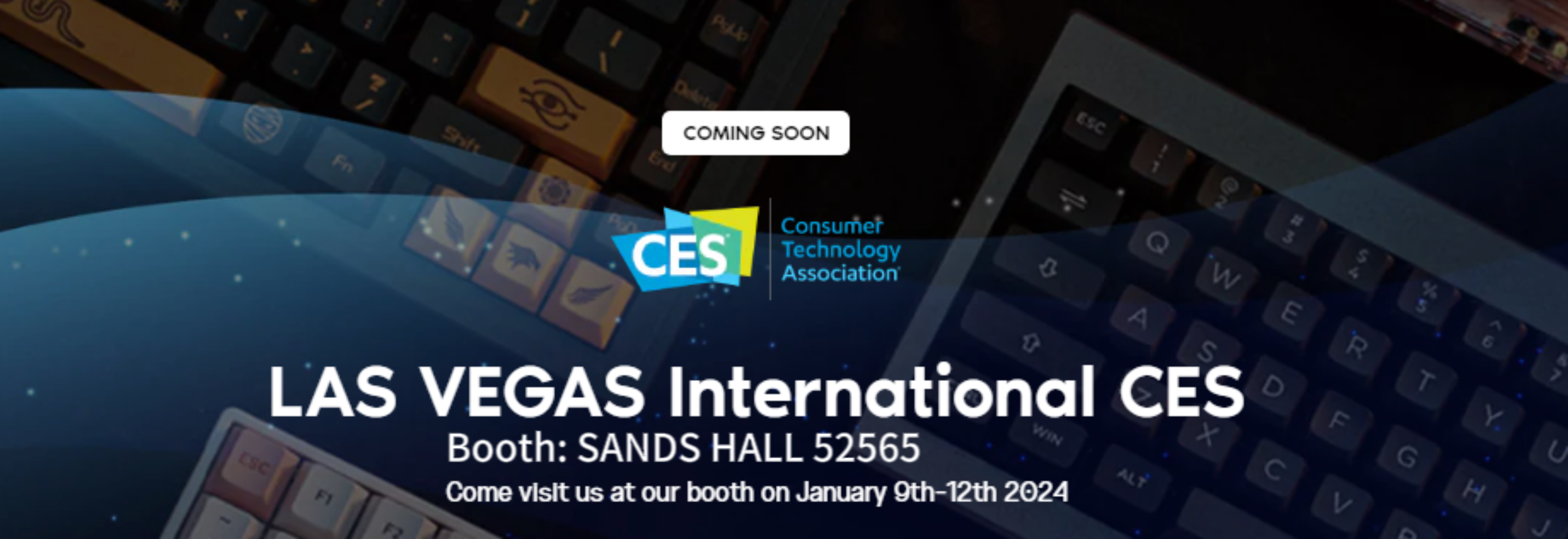 Las Vegas International CES Consumer Electronics Show-AULA(图1)