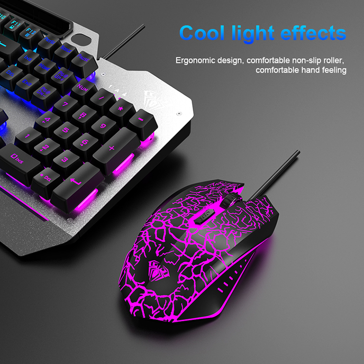Wired vs Wireless Keyboard and Mouse: Differences and Preferences