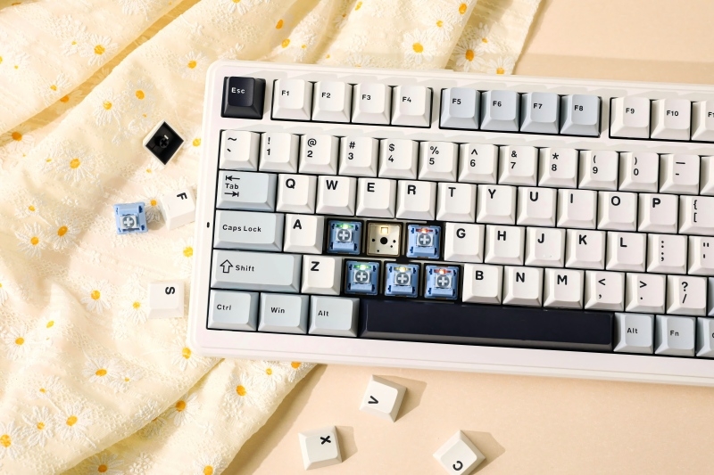 Does the F99 Gasket Keyboard Really Improve Typing Comfort?(图3)