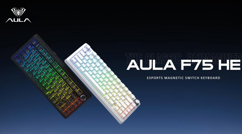 Hall Effect Keyboard vs Mechanical Keyboard: Which One Should You Choose?