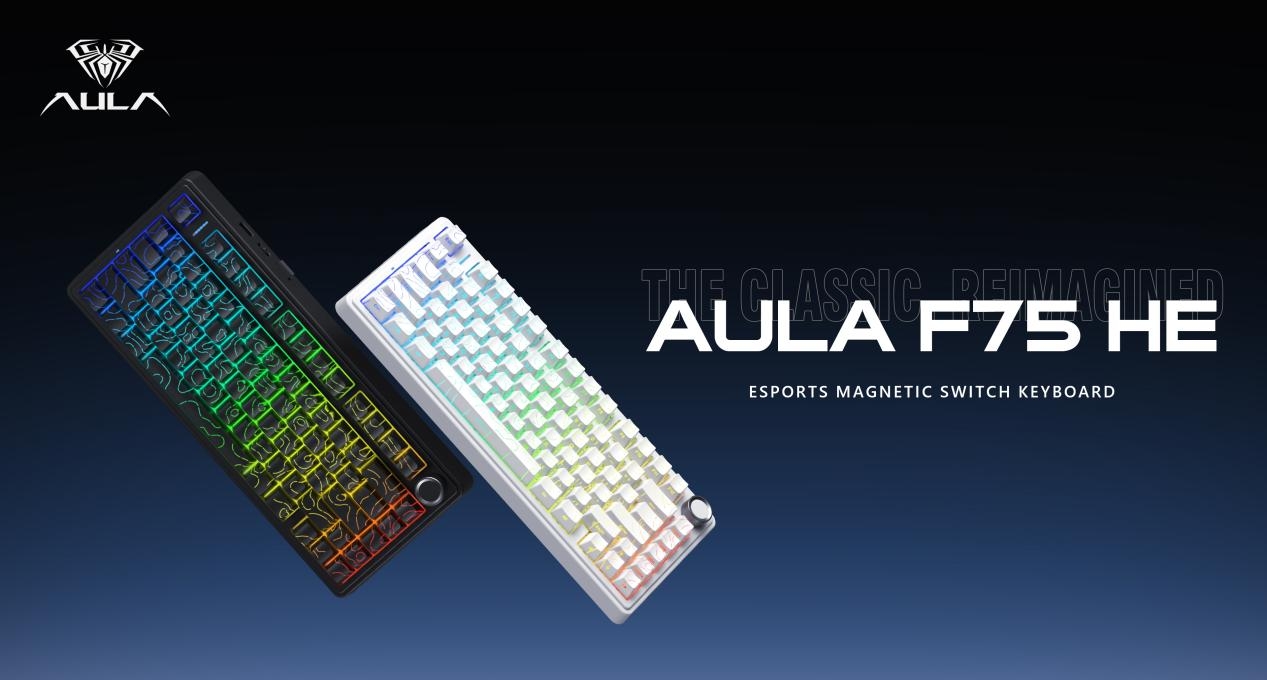 Hall Effect Keyboard vs Mechanical Keyboard: Which One Should You Choose?(图1)